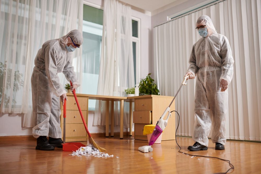 Cleaning & Maintenance